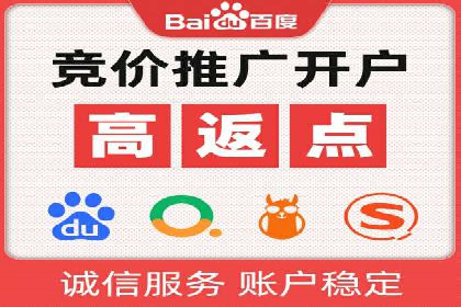 谷歌竞价广告与SEO结合的营销案例解析