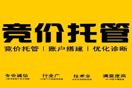 实战案例：SEM优化助力品牌知名度提升